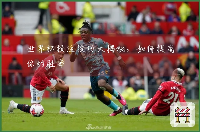 世界杯投注技巧大揭秘，如何提高你的胜率