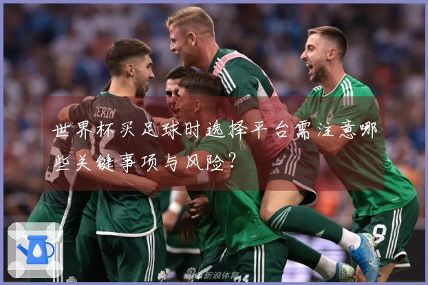 世界杯买足球时选择平台需注意哪些关键事项与风险？