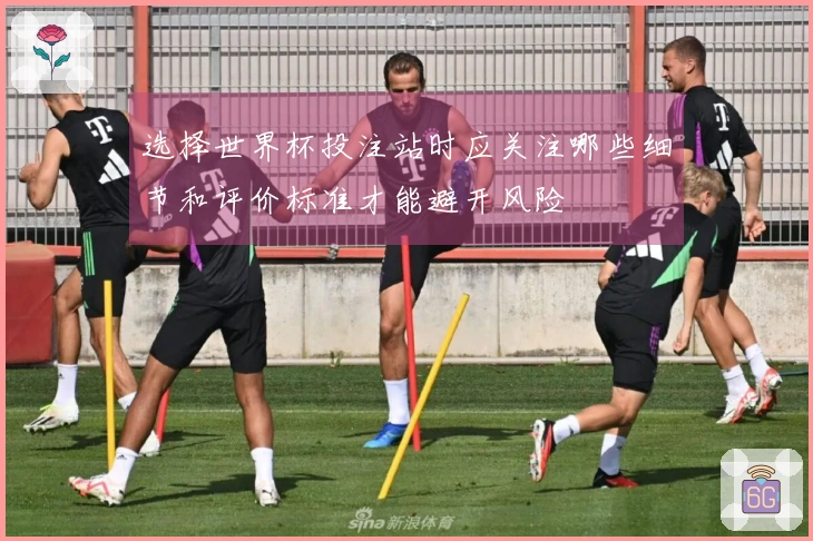 选择世界杯投注站时应关注哪些细节和评价标准才能避开风险
