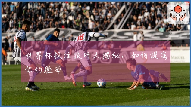 世界杯投注技巧大揭秘，如何提高你的胜率