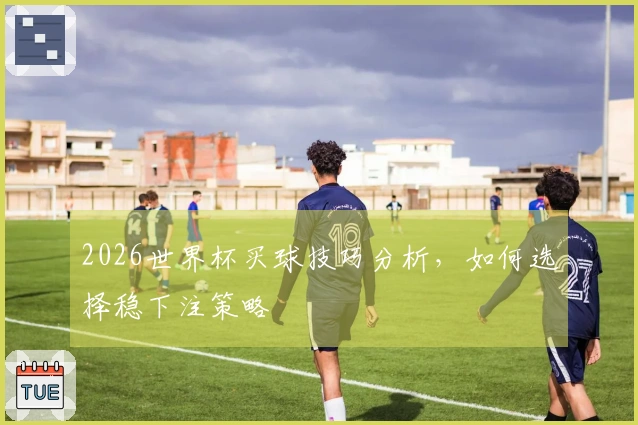 2026世界杯买球技巧分析，如何选择稳下注策略