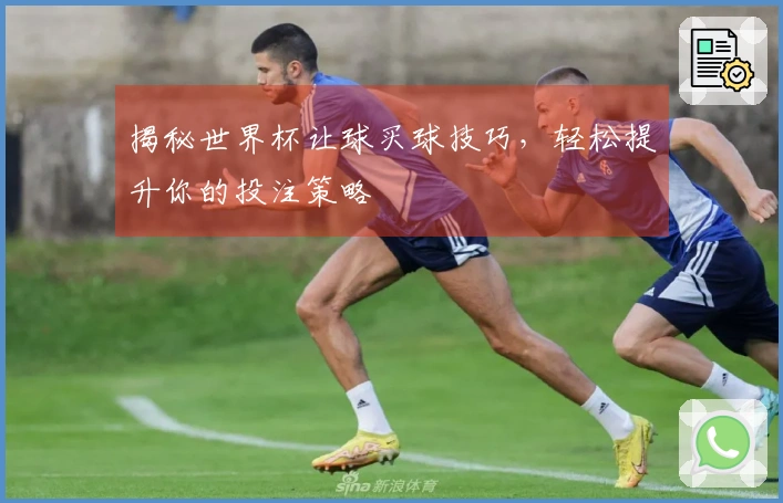 揭秘世界杯让球买球技巧，轻松提升你的投注策略