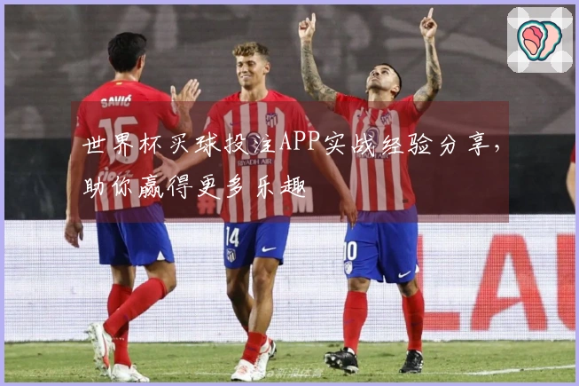 世界杯买球投注APP实战经验分享，助你赢得更多乐趣