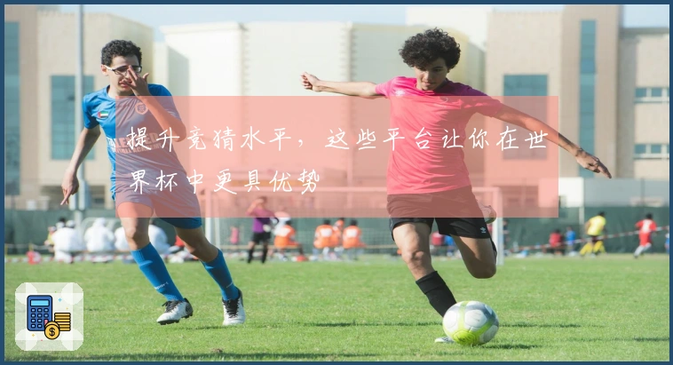 提升竞猜水平,这些平台让你在世界杯中更具优势