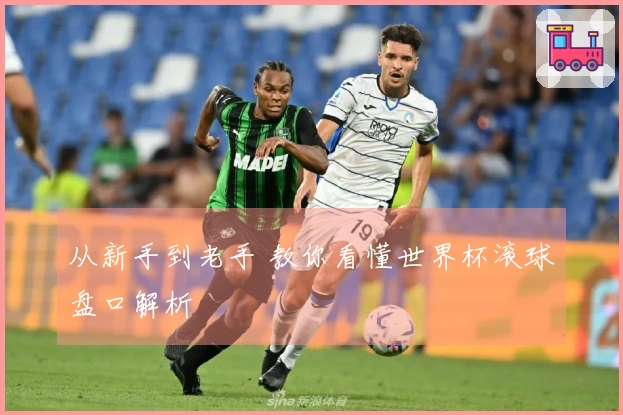 从新手到老手 教你看懂世界杯滚球盘口解析