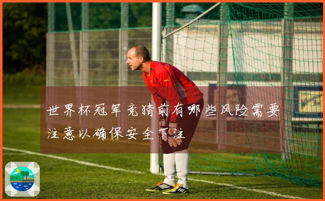 世界杯冠军竞猜前有哪些风险需要注意以确保安全下注