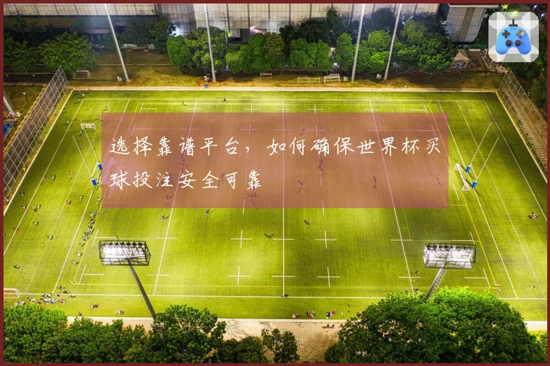 选择靠谱平台，如何确保世界杯买球投注安全可靠