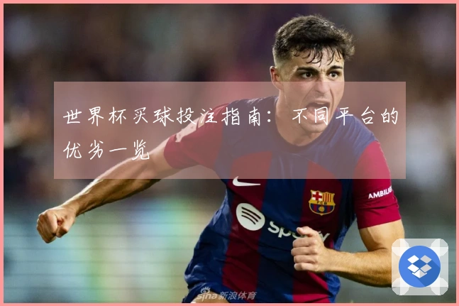 世界杯买球投注指南：不同平台的优劣一览