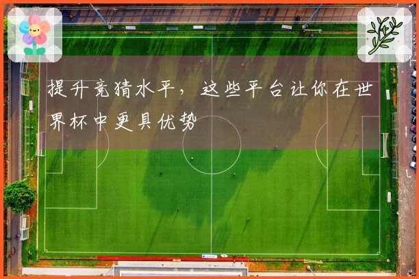 提升竞猜水平，这些平台让你在世界杯中更具优势
