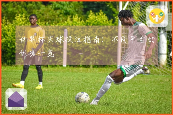世界杯买球投注指南：不同平台的优劣一览