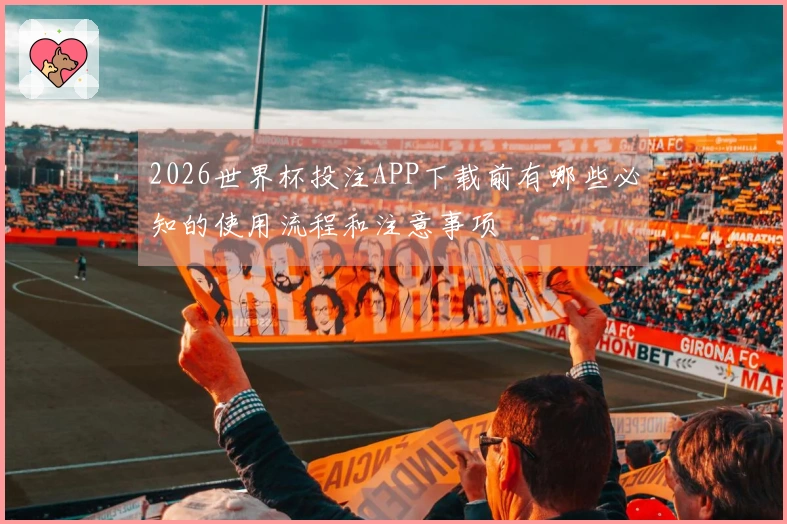 2026世界杯投注APP下载前有哪些必知的使用流程和注意事项