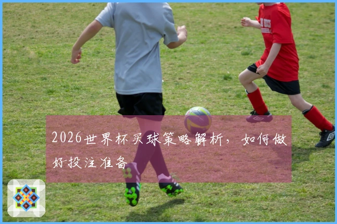 2026世界杯买球策略解析，如何做好投注准备