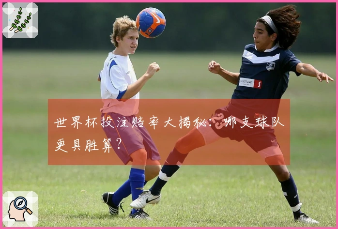 世界杯投注赔率大揭秘：哪支球队更具胜算？