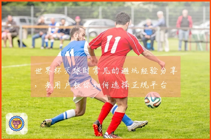 世界杯买球时常见的避坑经验分享，老用户教你如何选择正规平台