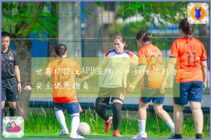 世界杯投注APP正规入口如何识别与安全使用指南