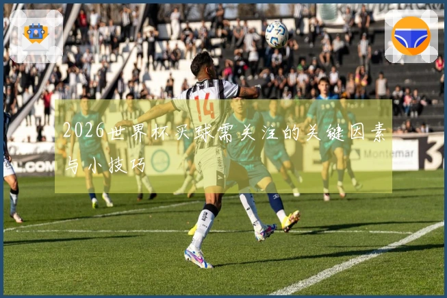 2026世界杯买球需关注的关键因素与小技巧