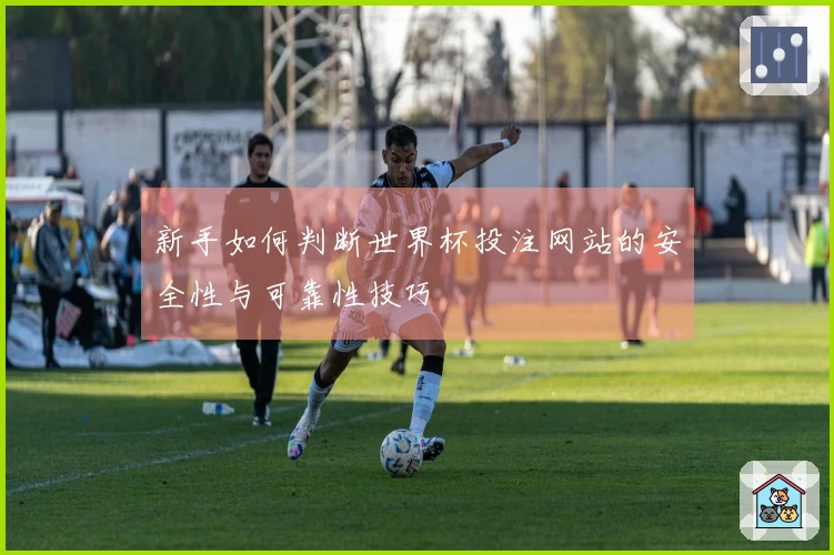 新手如何判断世界杯投注网站的安全性与可靠性技巧