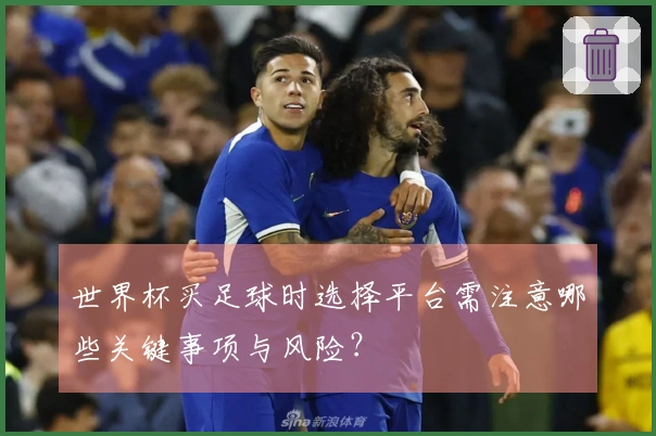 世界杯买足球时选择平台需注意哪些关键事项与风险？