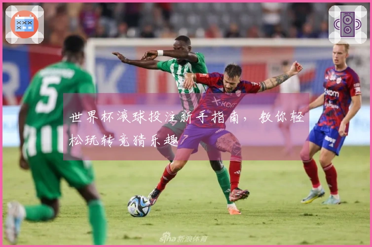 世界杯滚球投注新手指南，教你轻松玩转竞猜乐趣