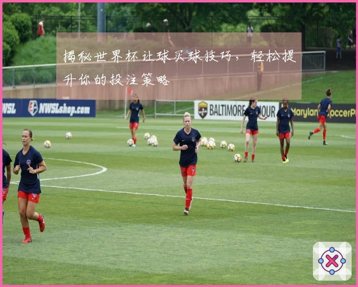 揭秘世界杯让球买球技巧，轻松提升你的投注策略