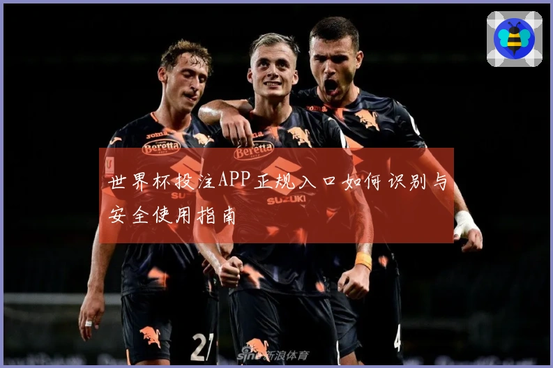世界杯投注APP正规入口如何识别与安全使用指南