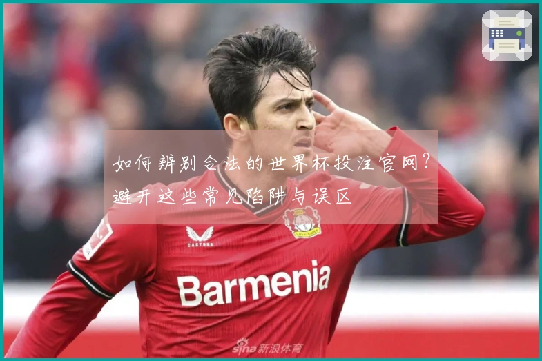如何辨别合法的世界杯投注官网？避开这些常见陷阱与误区