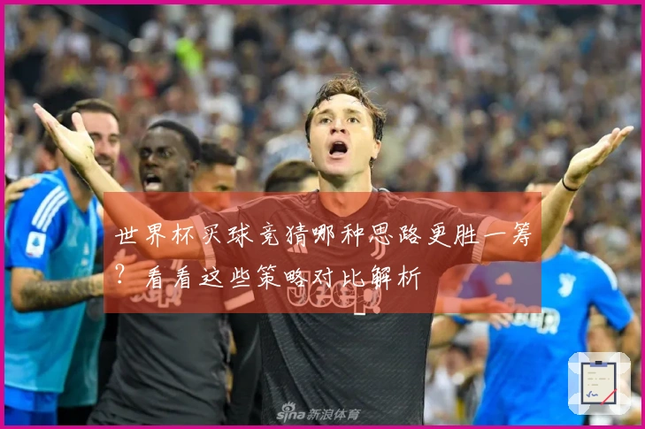 世界杯买球竞猜哪种思路更胜一筹？看看这些策略对比解析