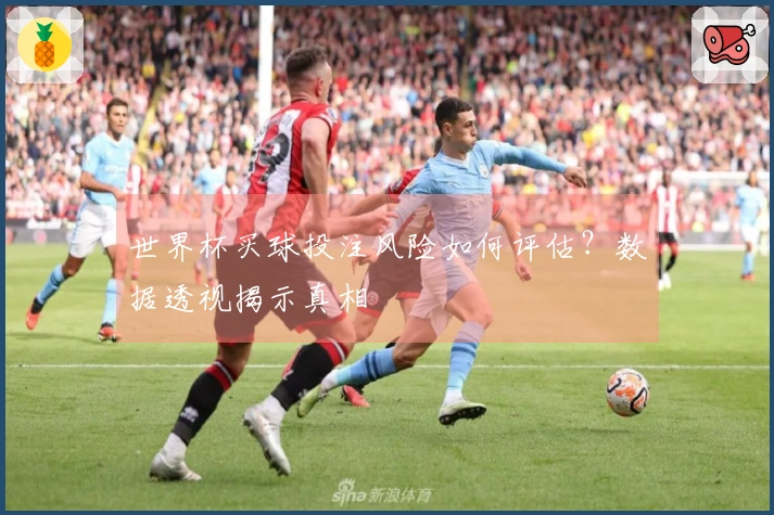 世界杯买球投注风险如何评估？数据透视揭示真相