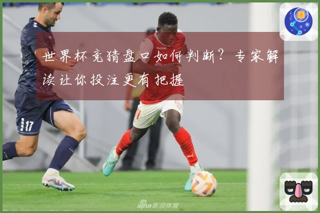 世界杯竞猜盘口如何判断？专家解读让你投注更有把握